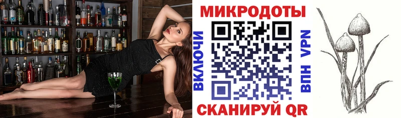 Псилоцибиновые грибы мухоморы  что такое   Кызыл 