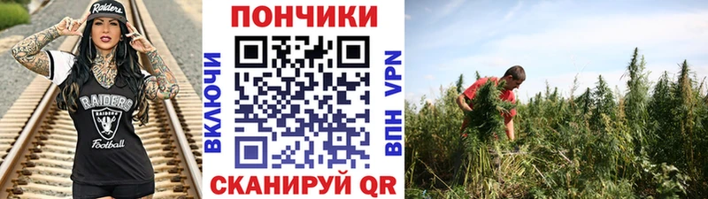 Каннабис THC 21%  ссылка на мегу зеркало  Кызыл  закладка 